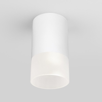 Уличный потолочный светильник Light LED 2106 IP54 35139/H белый - Интернет-магазин LED освещения "АЛЬФА-СВЕТ"